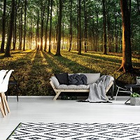 Флизелиновые фотообои 254x184 см 3д Утро в летнем зеленом лесу (2225V4)+клей