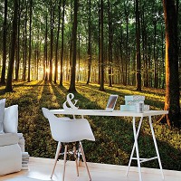 Флизелиновые красивые фото обои природа 206x275 см 3д Утро в летнем зеленом лесу (2225VEA)+клей