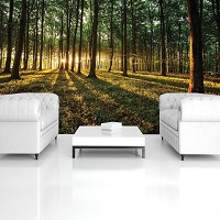 3 д флизелиновые фотообои природа 312x219 см Утро в летнем зеленом лесу (2225VEXXL)+клей