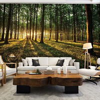 Флизелиновые фотообои природа 416x254 см 3д Утро в летнем зеленом лесу (2225VEXXXL)+клей