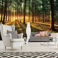 Флізелінові фотошпалери 3д 368x254 см Світанок у зеленому лісі (2226V8)+клей - вид 6 мініатюра