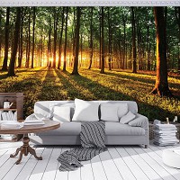 Флизелиновые фотообои 3д 368x254 см Рассвет в зеленом лесу (2226V8)+клей