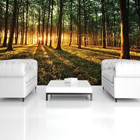 Флизелиновые фотообои 312x219 см 3д Рассвет в зеленом лесу (2226VEXXL)+клей