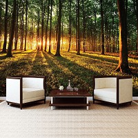 Флизелиновые фото обои природа 416x254 см 3д Рассвет в зеленом лесу (2226VEXXXL)+клей