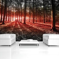 Флізелінові фотошпалери природа 368x254 см 3D Червоний захід сонця в лісі (2227V8)+клей