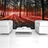 Деревья флизелиновые фотообои 312x219 см 3D Красный закат в лесу (2227VEXXL)+клей