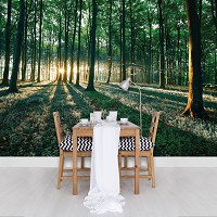 Флізелінові фотошпалери дерево 416x254 см 3д Сонячні промені в літній зелений ліс (2228VEXXXL)+клей - вид 6 мініатюра