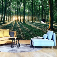 Флизелиновые фотообои 254x184 см 3д Солнечные лучи в летнем зеленом лесу (2228V4)+клей