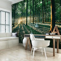 Флизелиновые фотообои 368x254 см 3д Солнечные лучи в летнем зеленом лесу (2228V8)+клей