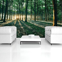 Флизелиновые фотообои на стену деревья 312x219 см 3д Солнечные лучи в летнем зеленом лесу (2228VEXXL)+клей