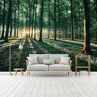 Флизелиновые фотообои дерево 416x254 см 3д Солнечные лучи в летнем зеленом лесу (2228VEXXXL)+клей