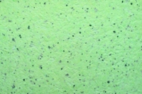 Рідкі шпалери Юрскі Гортензія 222 Салатовий