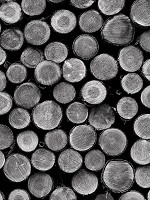 Флизелиновые фотообои фото 206x275 см Черно-белые бревна (2240VEA)+клей