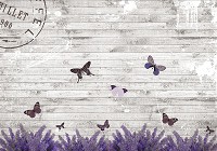 Флизелиновые фотообои в зал 368x254 см Бабочки и цветы на серых досках (2241V8)+клей