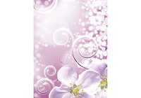 Готовые флизелиновые фотообои 184x254 см Белые цветы яблони на розовом фоне (2267V4A)+клей - вид 1 миниатюра