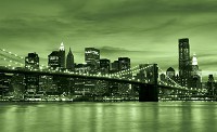 Флизелиновые фотообои в зал 368x254 см Зеленый Нью-Йорк и Бруклинский мост (227V8)+клей