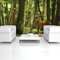 Флизелиновые 3д фотообои с природой животные 254x184 см Олень в зеленом лесу (2287V4)+клей