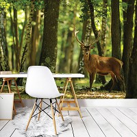 Флизелиновые фотообои 3д животные 368x254 см Олень в зеленом лесу (2287V8)+клей