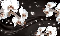 Квіти флізелінові фотошпалери 312x219 см 3D Білі орхідеї та діаманти на чорному тлі (2311VEXXL)+клей