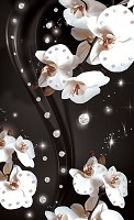 Флизелиновые фотообои в зал цветы 184x254 см 3Д Белые орхидеи и диаманты на черном фоне (2311V4A)+клей
