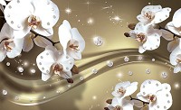 Флизелиновые фото обои с цветами в интерьере 368х254см 3Д Белые орхидеи и диаманты на светло-коричневом фоне 2314V8+клей - вид 1 миниатюра