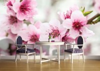 3 д флизелиновые фотообои в спальню 416x254 см Цветы вишни (1168VEXXXL)+клей