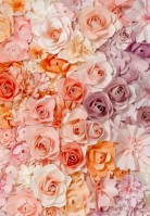 3D фотообои на стену: 254х366 см. Цветы №147А