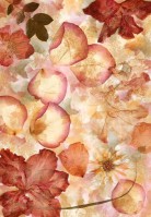 Флизелиновые фотообои на стену: 254х366 см. Высушенные цветы №963А