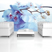 Квартира флизелиновые фотообои в зал Большие цветы 254x184 см 3Д Голубые орхидеи и капли воды (872V4)+клей