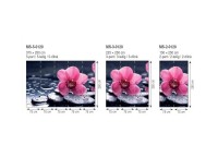 Фотообои флизелиновые 3D Цветы 375х250 см Орхидея и камни (MS-5-0120)+клей - вид 5 миниатюра