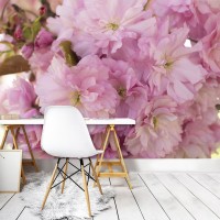 3D великі рожеві квіти фотошпалери 368х254 см Цвітіння сакури (13282P8)+клей - вид 8 мініатюра