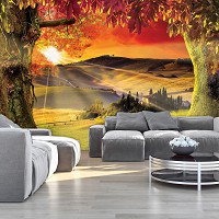 Флизелиновые фотообои в зал 312x219 см Пейзаж Тосканы на закате (2599VEXXL)+клей