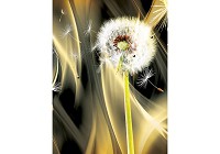 Флизелиновые фотообои на стену 206x275 см 3Д Абстрактный фон и одуванчик (2601VEA)+клей - вид 1 миниатюра