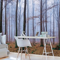 Флизелиновые 3д фотообои фото природы 312x219 см Осенний туманный лес (2658VEXXL)+клей