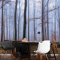 Флизелиновые фотообои 3д 416x254 см Осенний туманный лес (2658VEXXXL)+клей