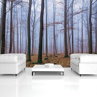 Флизелиновые фотообои 3д 416x254 см Осенний туманный лес (2658VEXXXL)+клей - вид 8 миниатюра