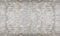 Популярные флизелиновые фотообои в стиле лофт под бетон 368x254 см Серая штукатурка на стене (2700V8)+клей