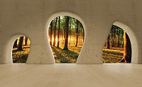 Флизелиновые фотообои в коридор 368x254 см 3Д Солнечный лес за бетонными арками (2823V8)+клей