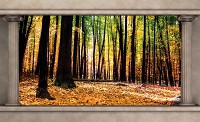 Флізелінові фотошпалери природа 368x254 см 3Д Осінній ліс між двома колонами (2865V8)+клей