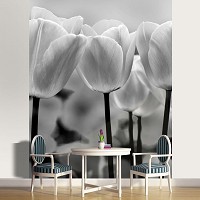 Спальня флизелиновые фотообои 3д цветы 206x275 см Черно-белые тюльпаны (287VEA)+клей