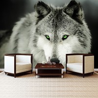 Флизелиновые фотообои животные 312x219 см 3Д Волк с зелеными глазами (2937VEXXL)+клей