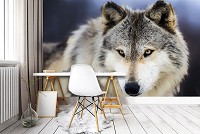 3д животные флизелиновые фотообои 368x254 см Снежный волк (2938V8)+клей