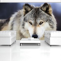 Флизелиновые фотообои 3д животные 312x219 см Снежный волк (2938VEXXL)+клей