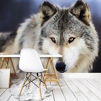 Флизелиновые фотообои 3д животные 416x254 см Снежный волк (2938VEXXXL)+клей