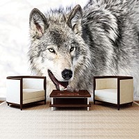 Флізелінові фотошпалери 3д тварини 254x184 см Сніговий вовк (2939V4)+клей - вид 6 мініатюра