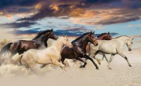 Флизелиновые фотообои 3д животные 254х184 см Скачущий табун свободных лошадей (2964V4)+клей - вид 1 миниатюра