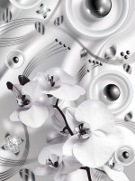 Абстракція чорно-білі флізелінові фотошпалери квіти 184x254 см Орхідеї та перли (3012V4A)+клей - вид 1 мініатюра