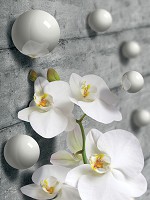 Абстракция флизелиновые фотообои на стену цветы 206x275 см 3Д Серые шарики и белые орхидеи (3013VEA)+клей - вид 1 миниатюра