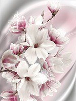 Флизелиновые фотообои искусство цветы 184x254 см 3Д Белые и розовые большие магнолии (3017V4A)+клей
