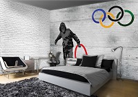 Флизелиновые фотообои улица в интерьере граффити на стене 416x254 см Бэнкси Олимпийские кольца (3024VEXXXL)+клей